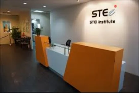 STEI Institute