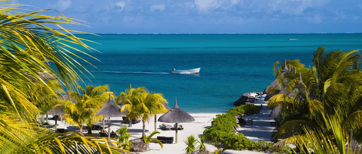 Study in Mauritius